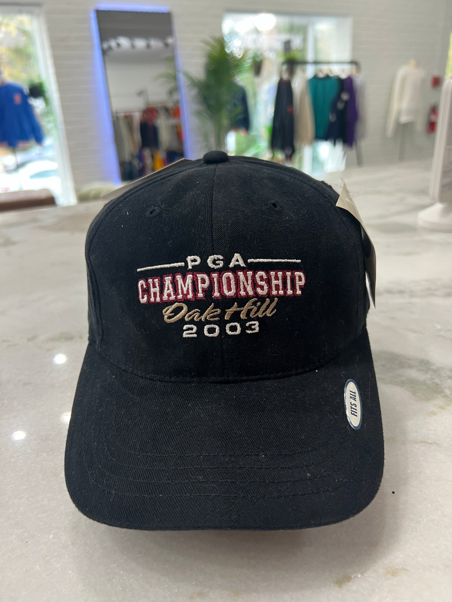 NWT 2003 PGA Golf Hat