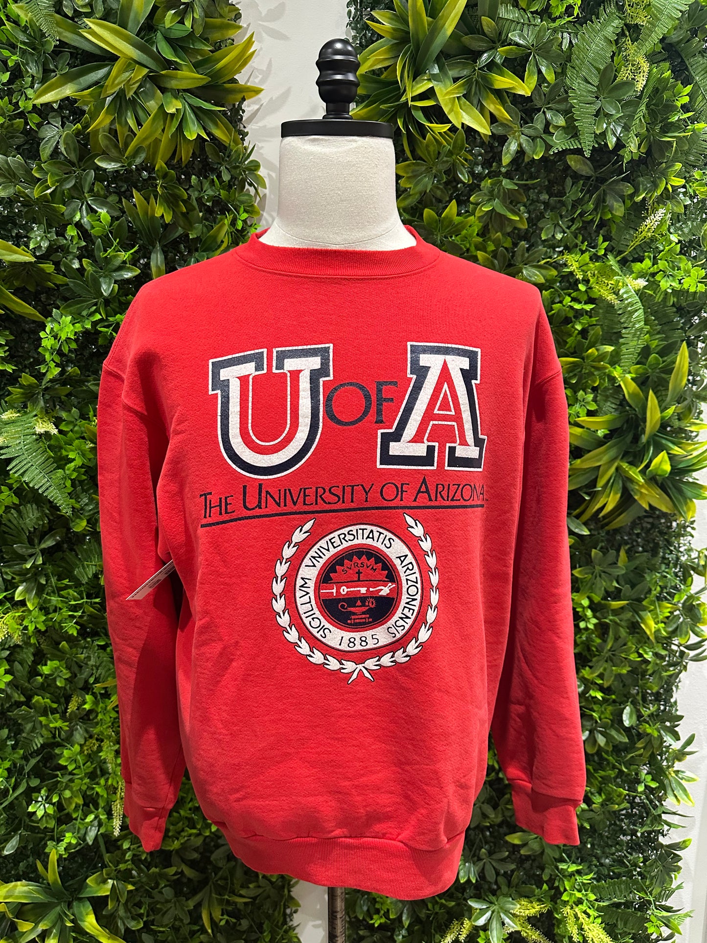 (Mens XL) 90s University of Arizona Wildcats Sweater 007