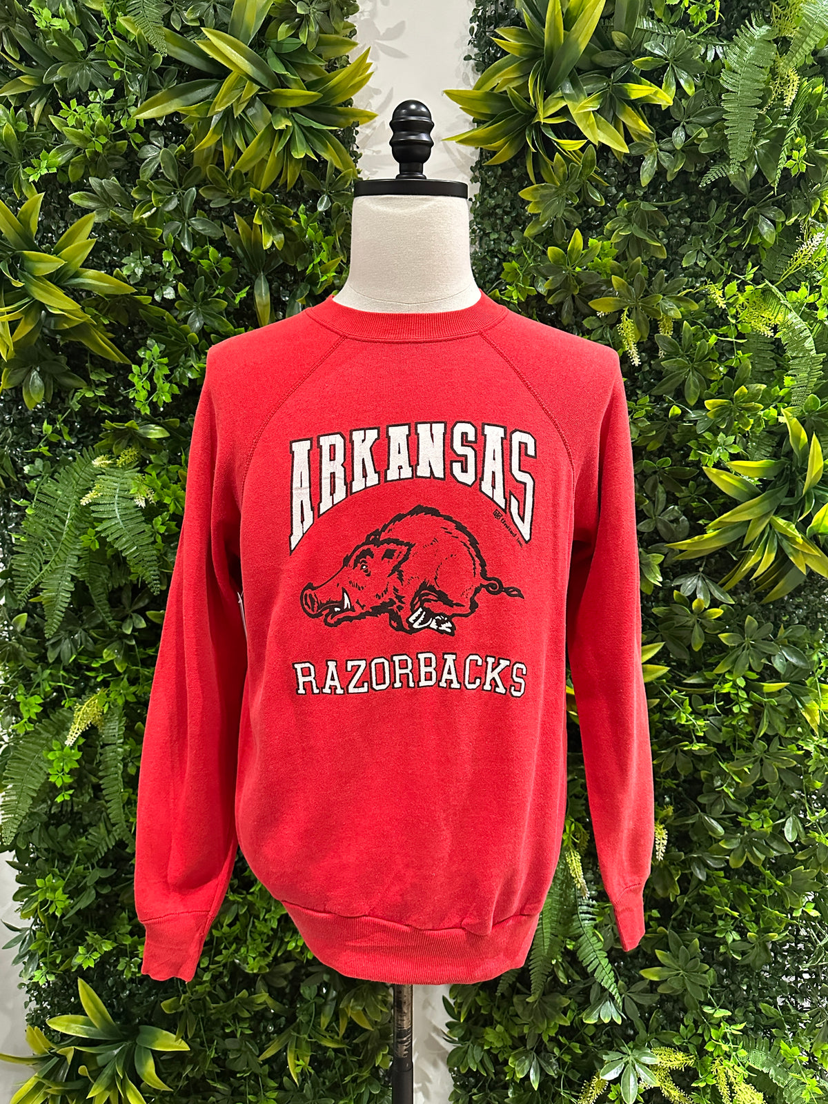 (Mens Large) 80s University of Arkansas Spell-Out Sweater 007