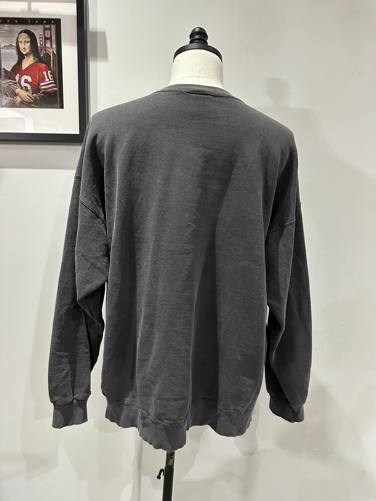 (Mens 2X) 90s Hanes 'Got Frog?' Sweater