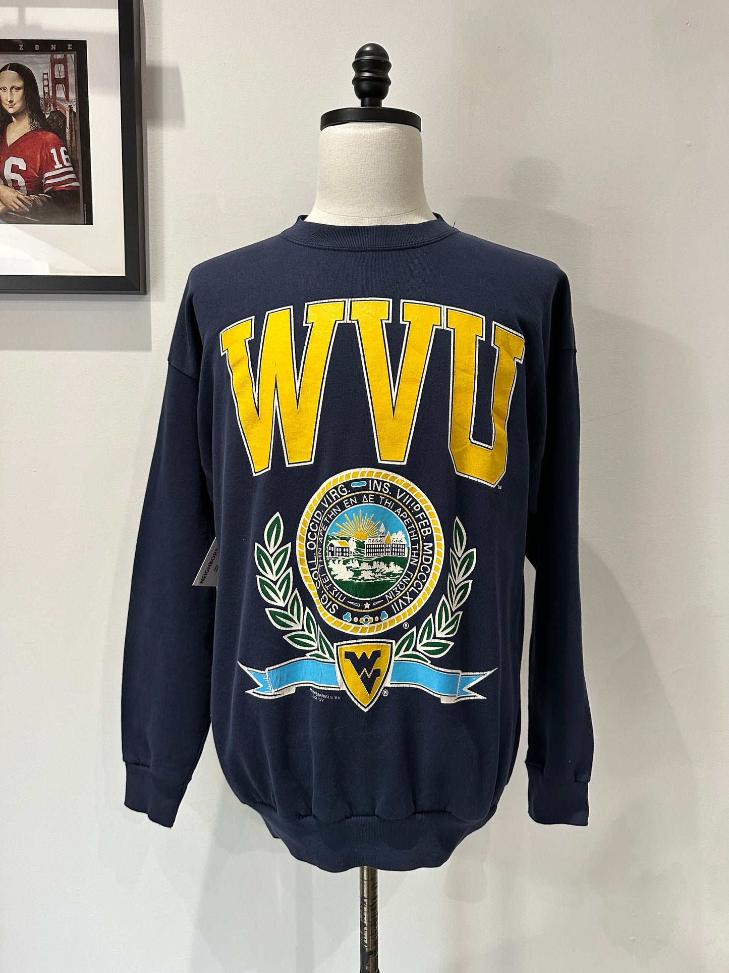 (Mens XL) 90s West Virgina University Sweater