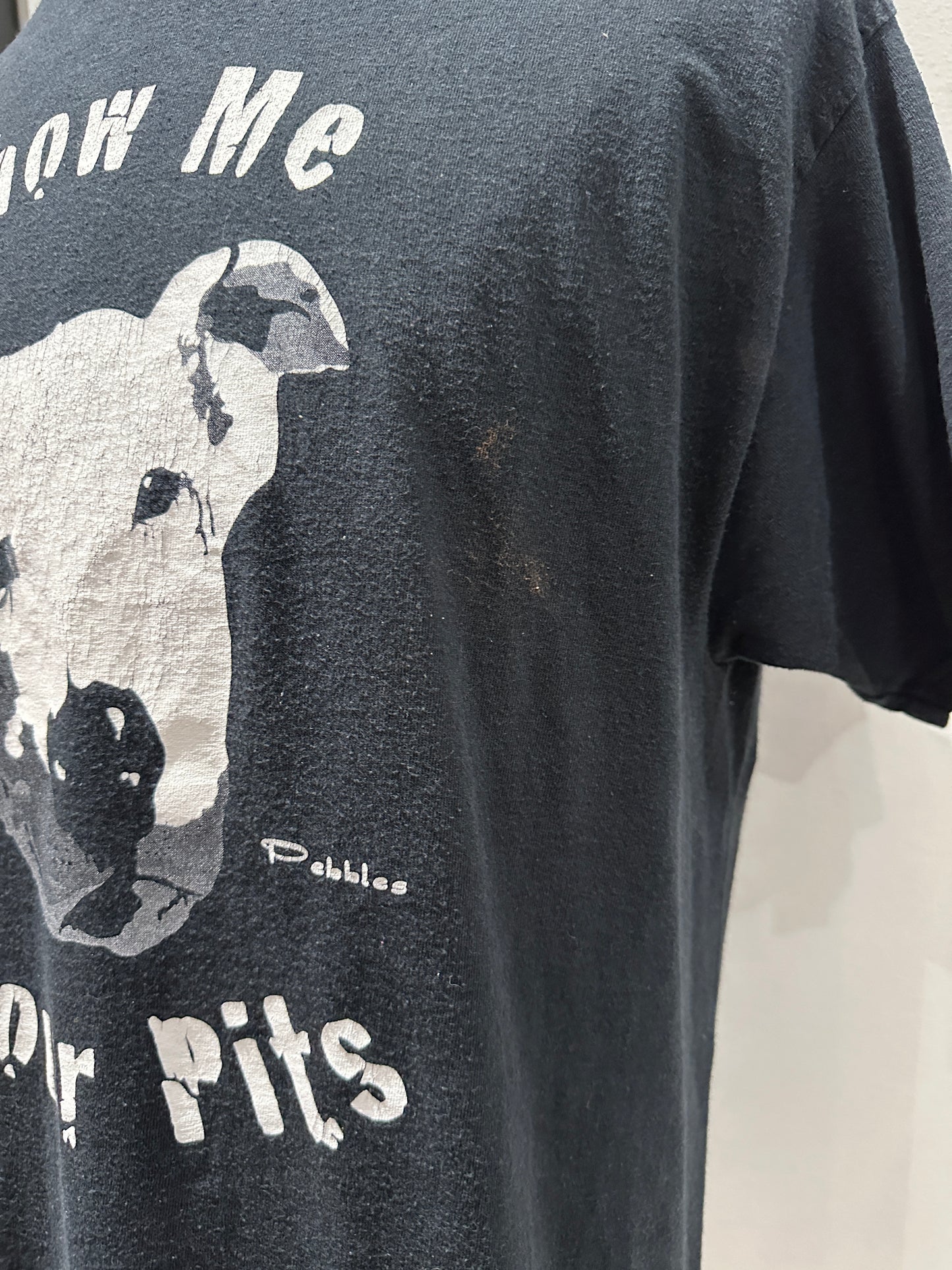 (Mens Large) 90s 'Show Me Your Pitts' Shirt