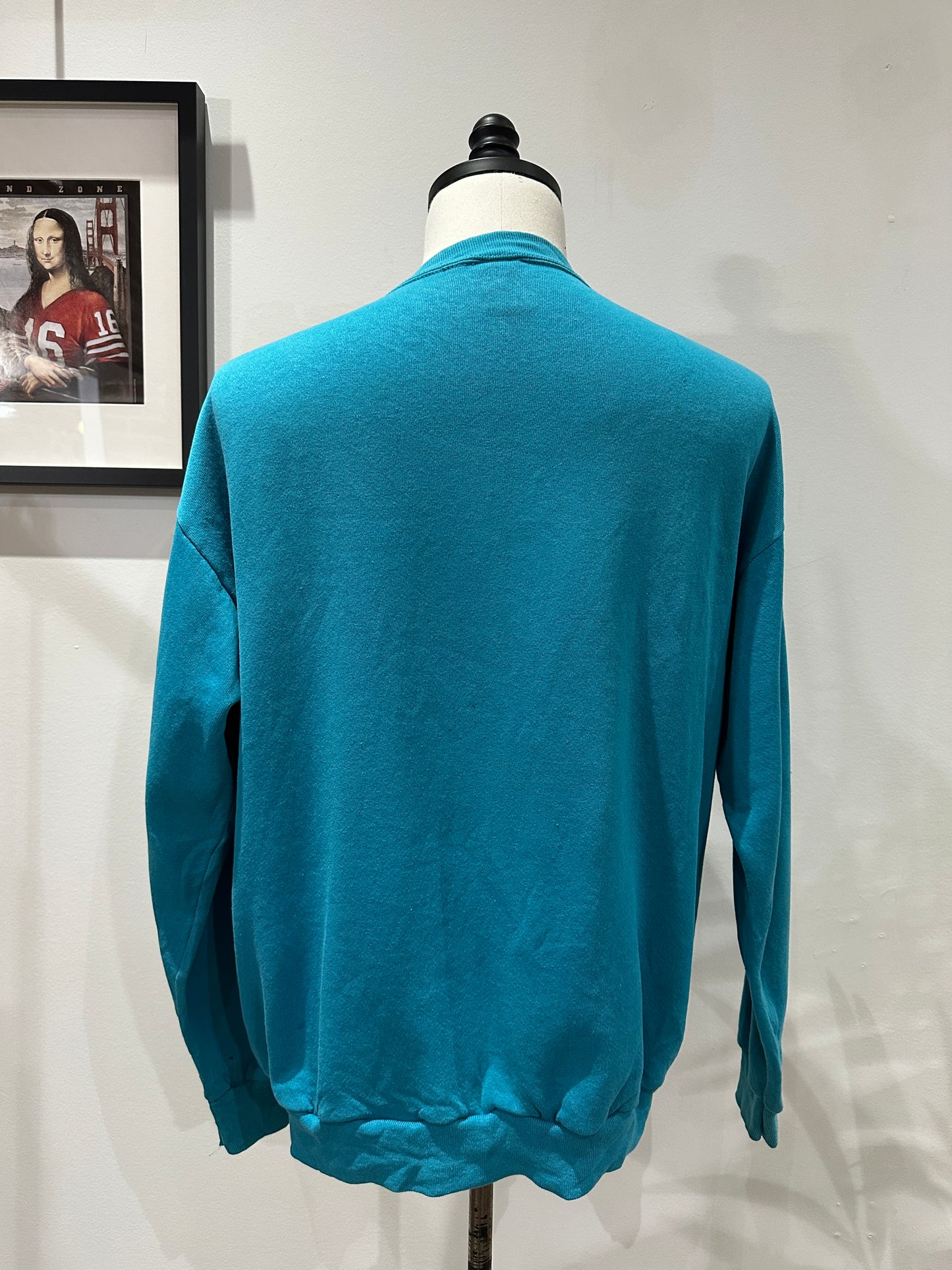 (Mens Large) 1994 Charlotte Hornets Sweater