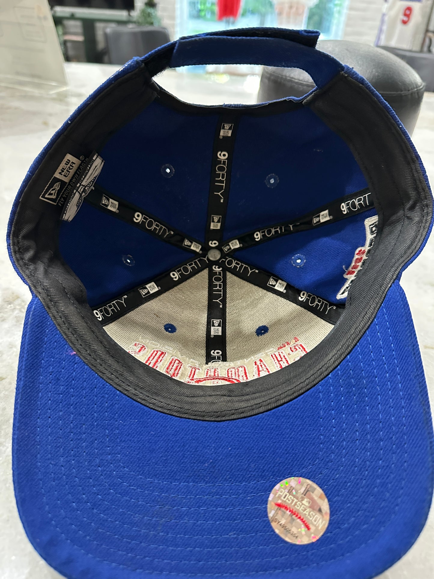 2016 Chicago Cubs Central Division Champs Hat