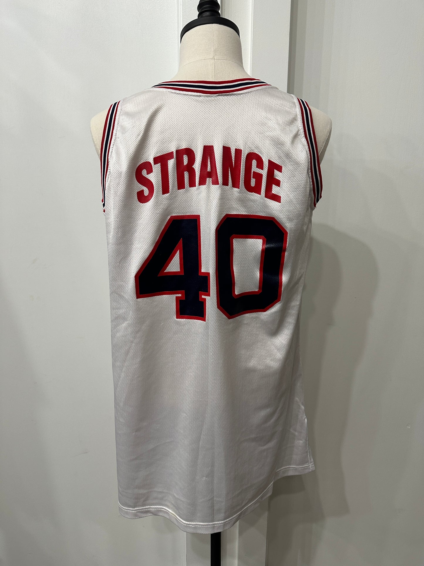 (Mens Large 20) 90s Champion University of Illinois in Chicago UIC Jersey