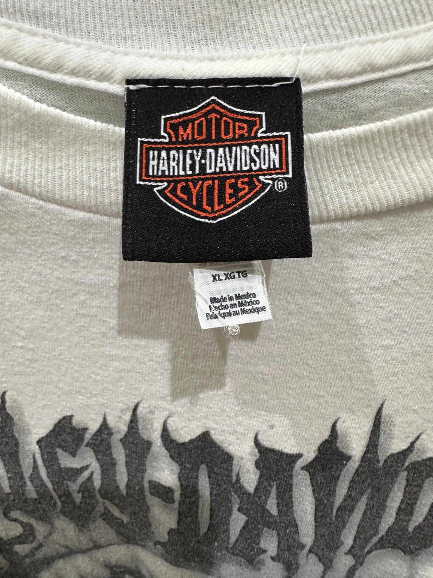 (Mens XL) Harley Davidson 'Chattanooga,TN' Long-Sleeve Shirt 007