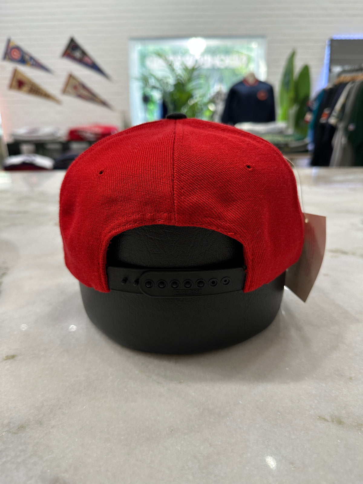 1994 Wisconsin University Rose Bowl Champs Snap-Back Hat 007