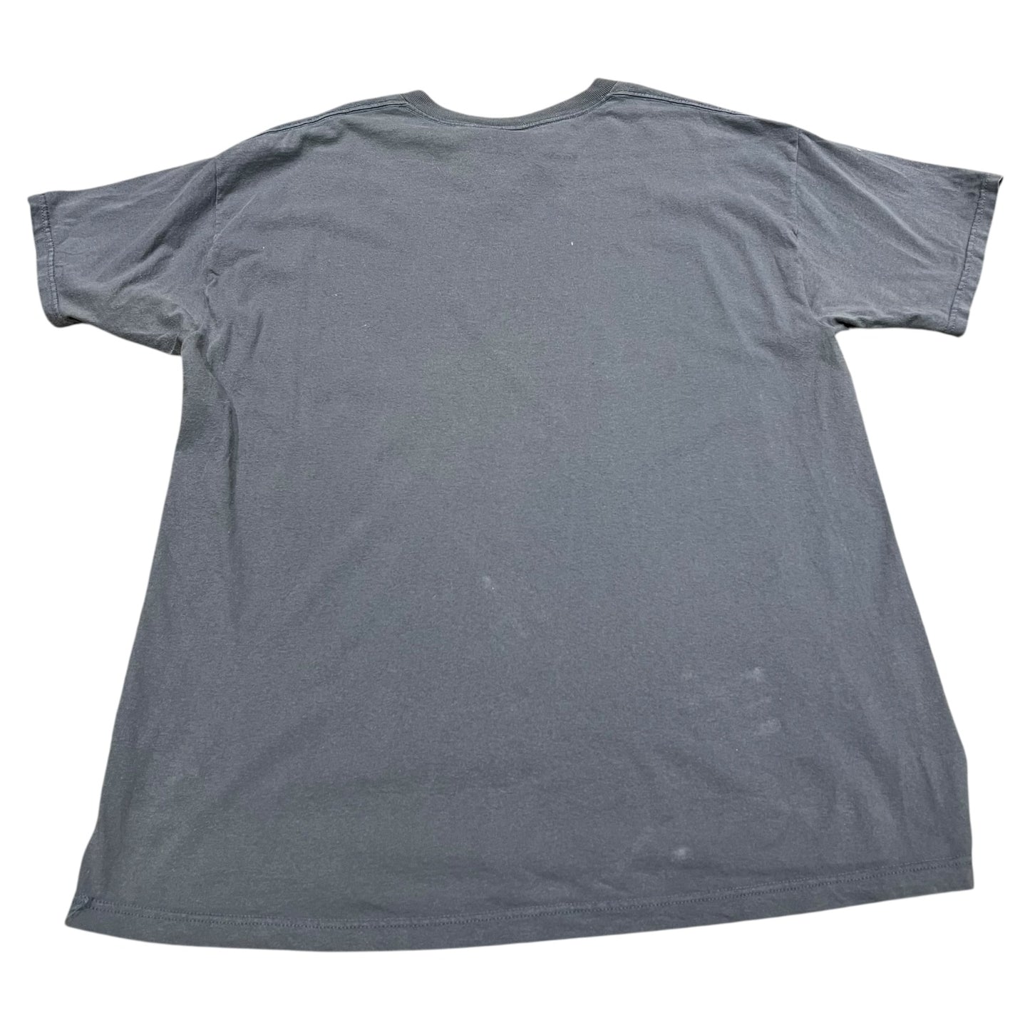(Mens XL) Snow Lepoard Cat Shirt