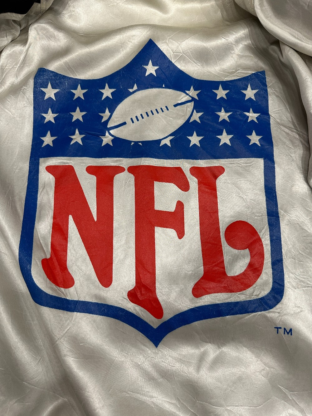 (Mens M) 90s Jeff Hamilton Oakland Raiders Jacket|1024