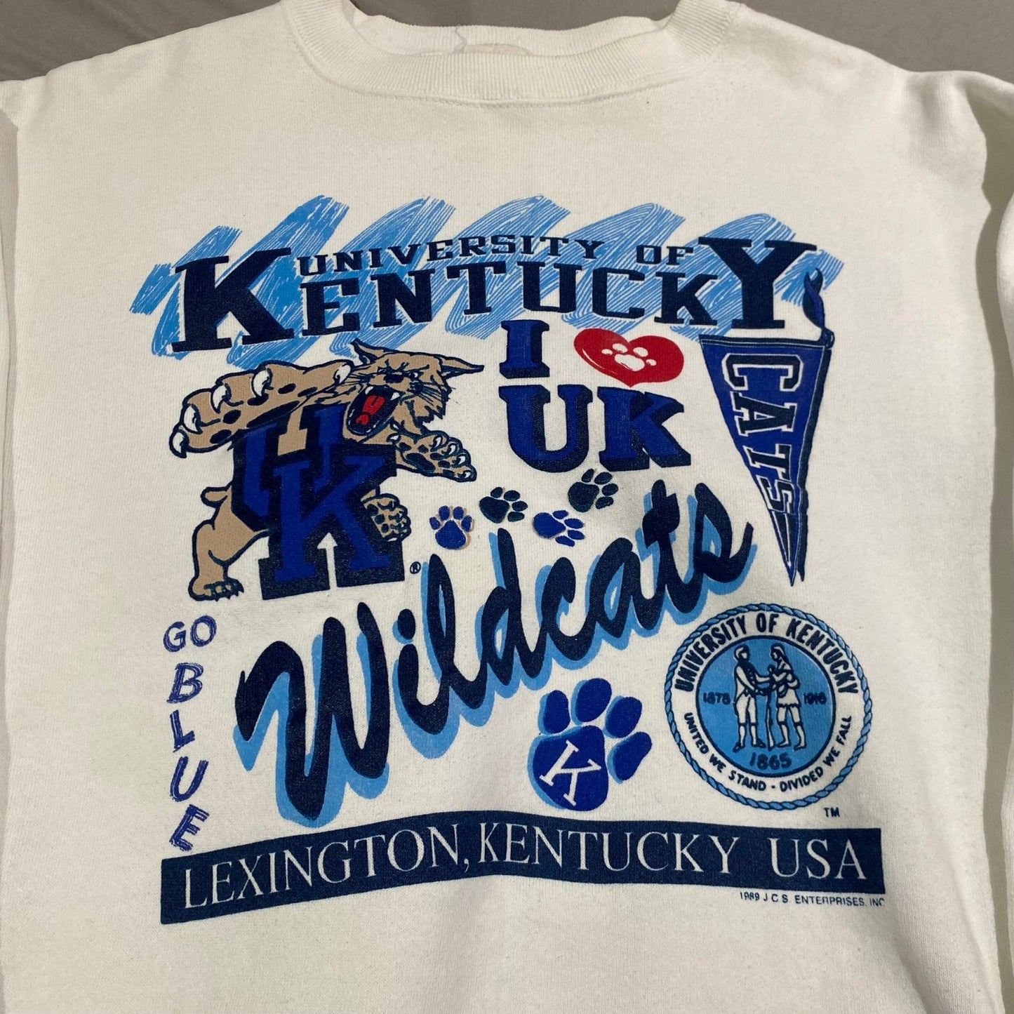 Vintage University of Kentucky Wildcats Sweater Womans XL White Crewneck NCAA