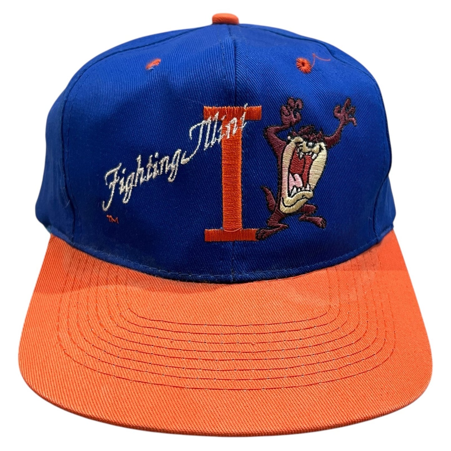 Vintage University of Illinois Taz Snapback Hat Blue Orange Looney Tunes Chief