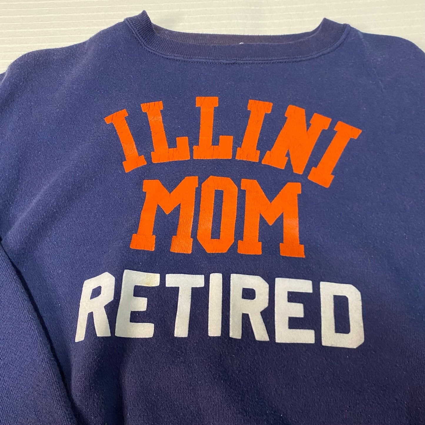 Vintage University of Illinois Sweater Crewneck Womans Large Mom Retired Blue