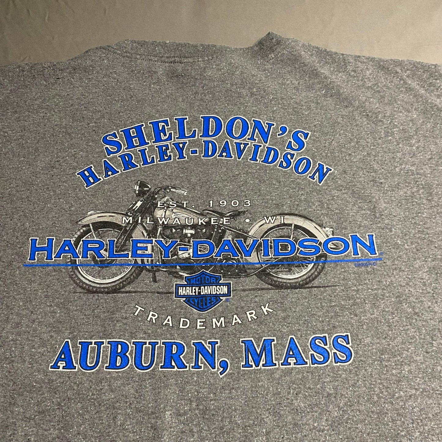 Harley Davidson Shirt Mens Large Auburn Short Sleeve Gray Motorcycle Pocket