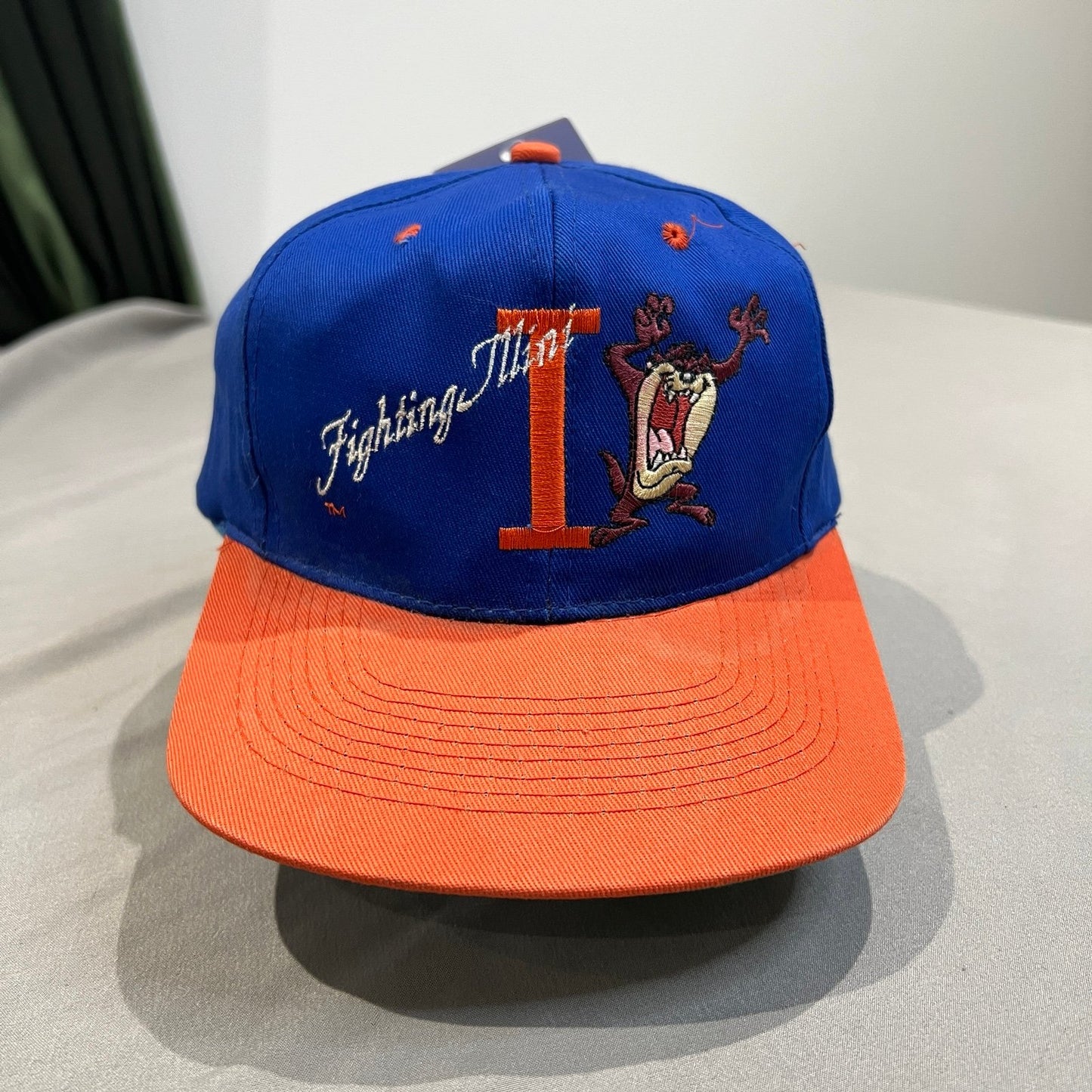 Vintage University of Illinois Taz Snapback Hat Blue Orange Looney Tunes Chief