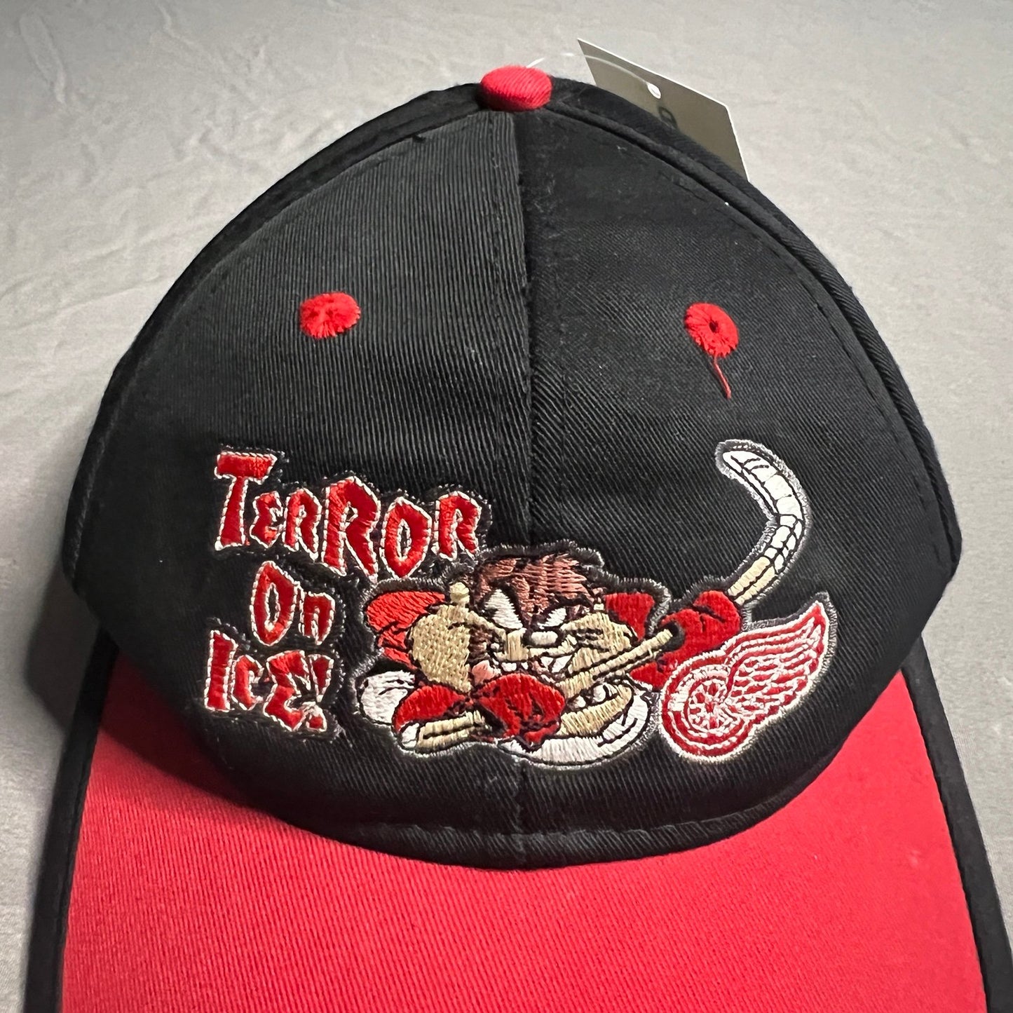 Vintage Red Wings Snapback Kids Hat Taz Looney Tunes Youth NHL Embroideed