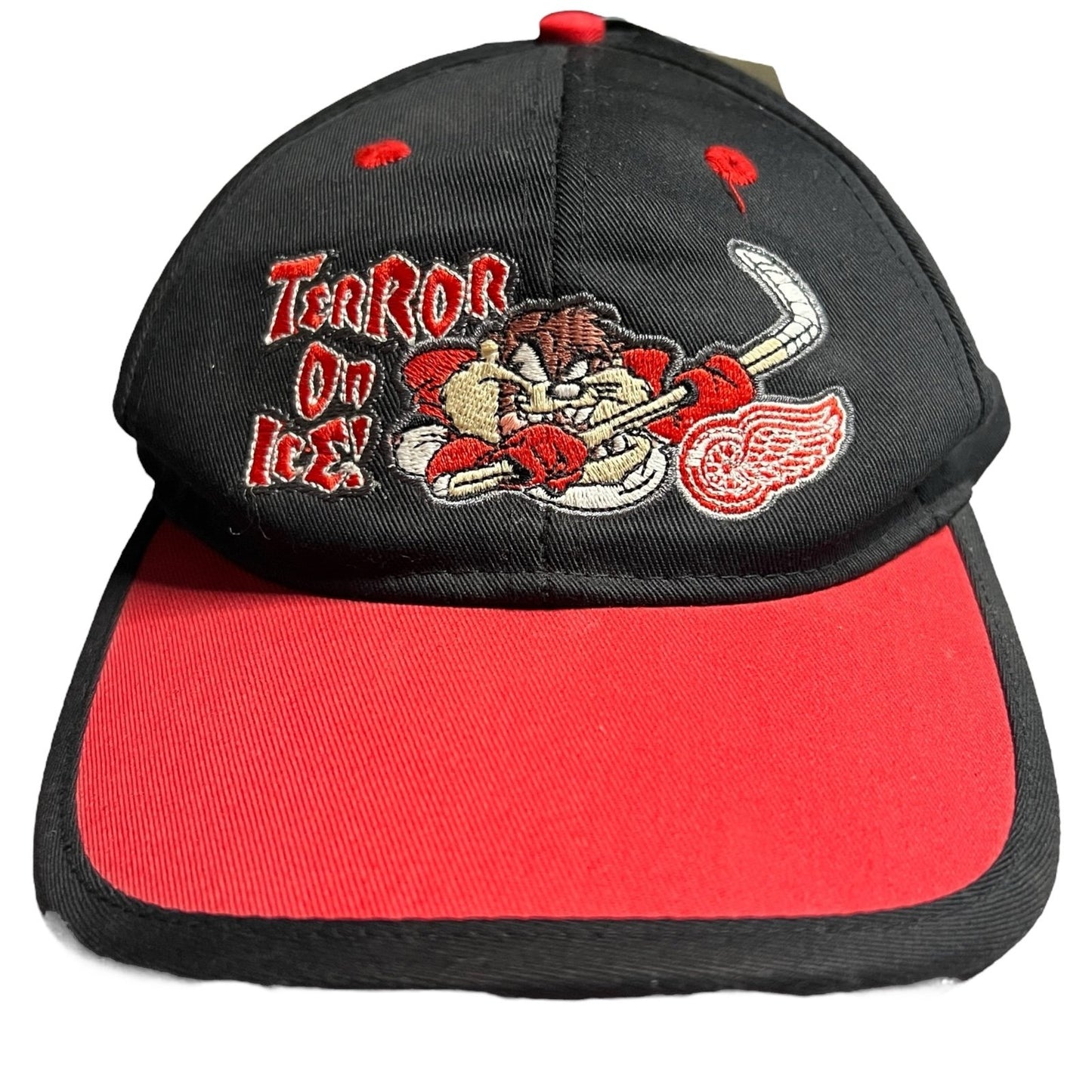 Vintage Red Wings Snapback Kids Hat Taz Looney Tunes Youth NHL Embroideed