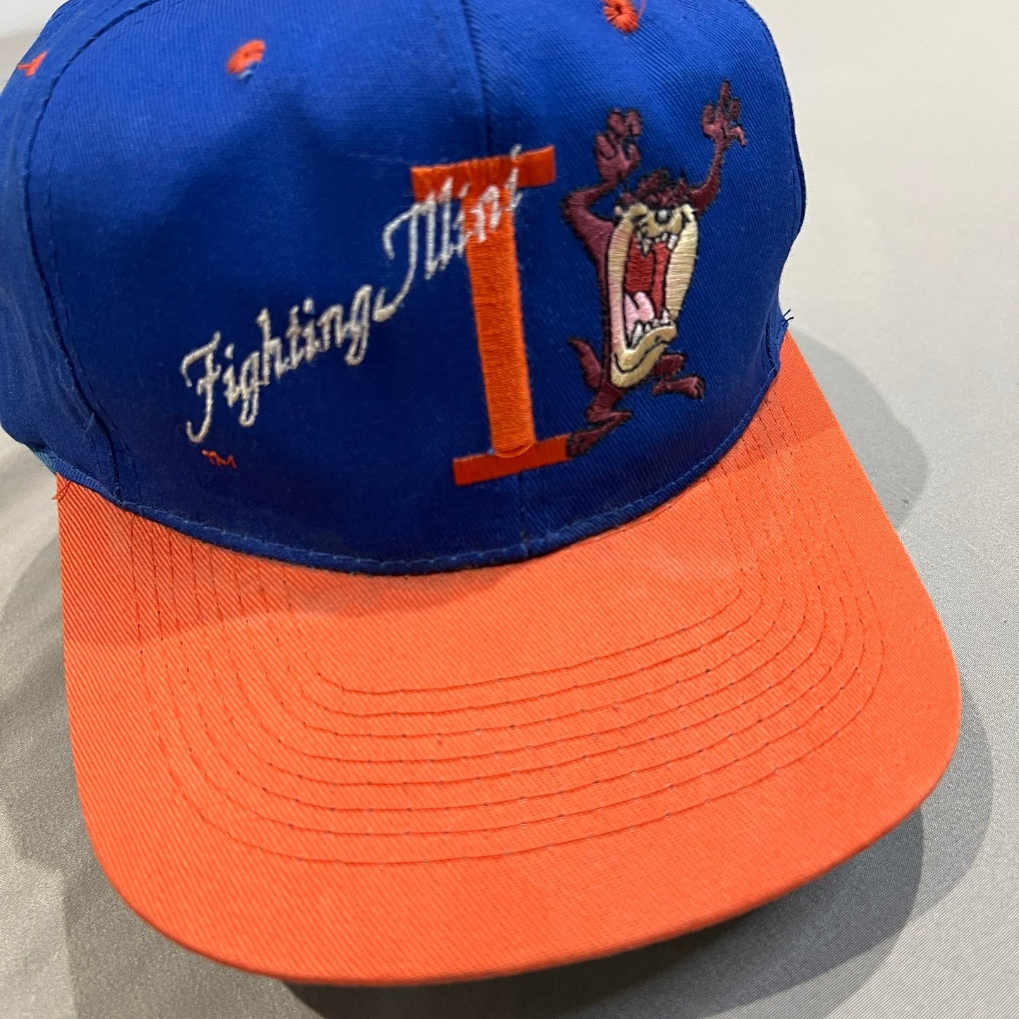 Vintage University of Illinois Taz Snapback Hat Blue Orange Looney Tunes Chief